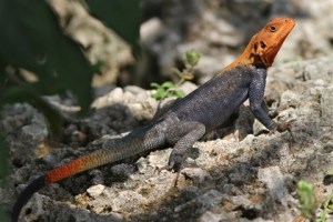 E6C1AFD73B854A269EBB942106CC091D